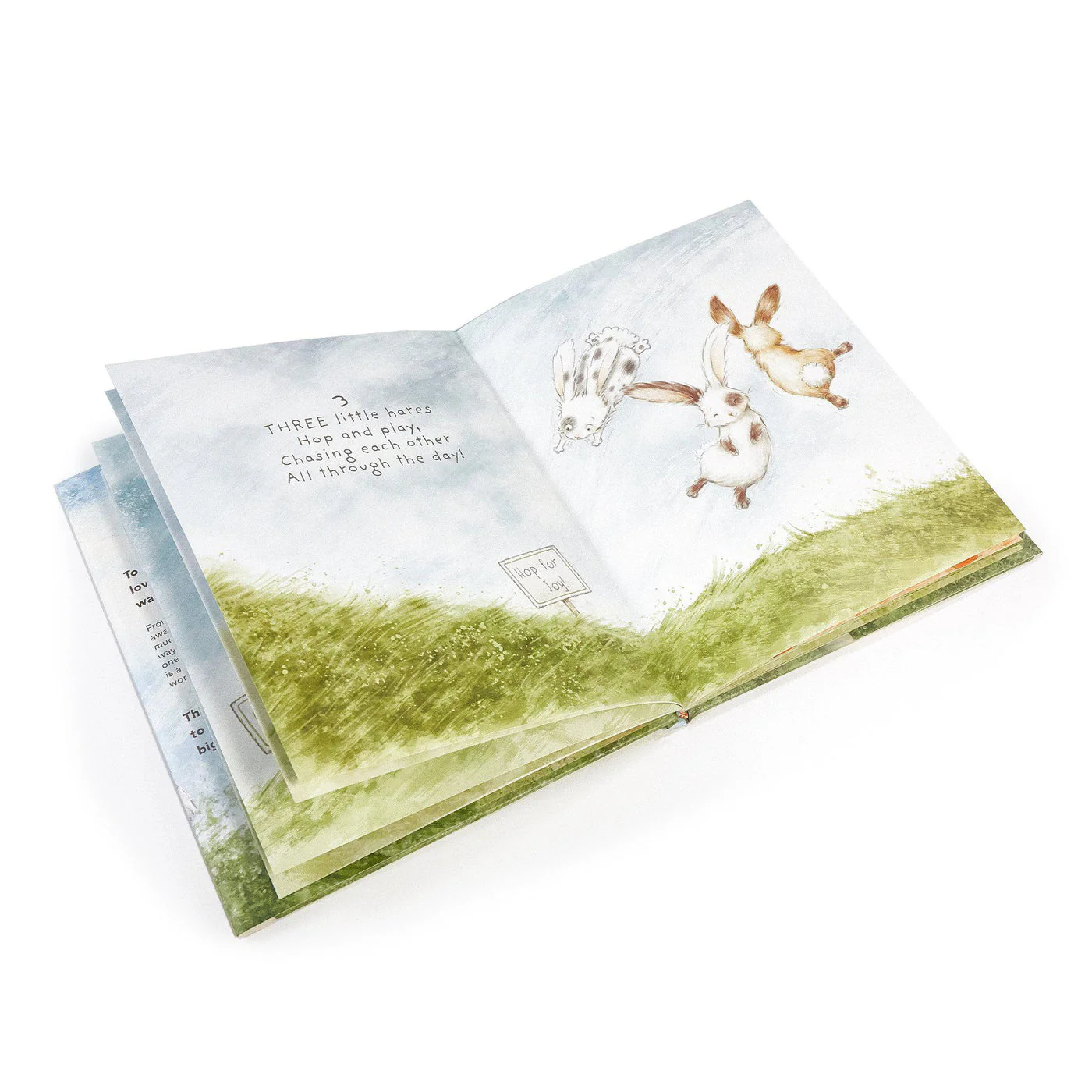 Every Hare Counts Book - Image 2
