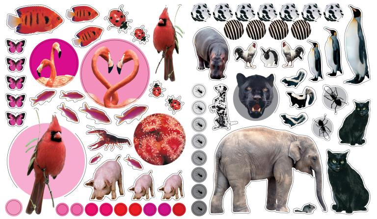EyeLike Stickers: Animals - Image 6