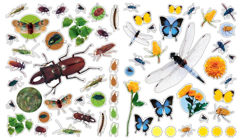 EyeLike Stickers: Bugs - Image 4