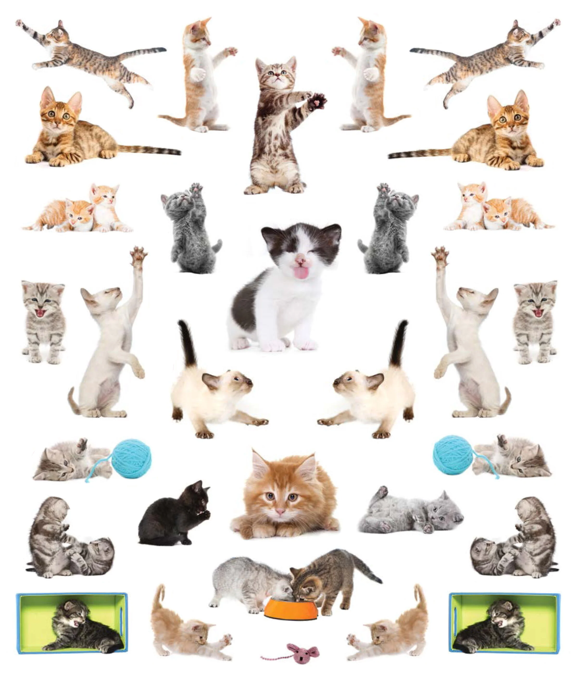 EyeLike Stickers: Kittens - Image 2