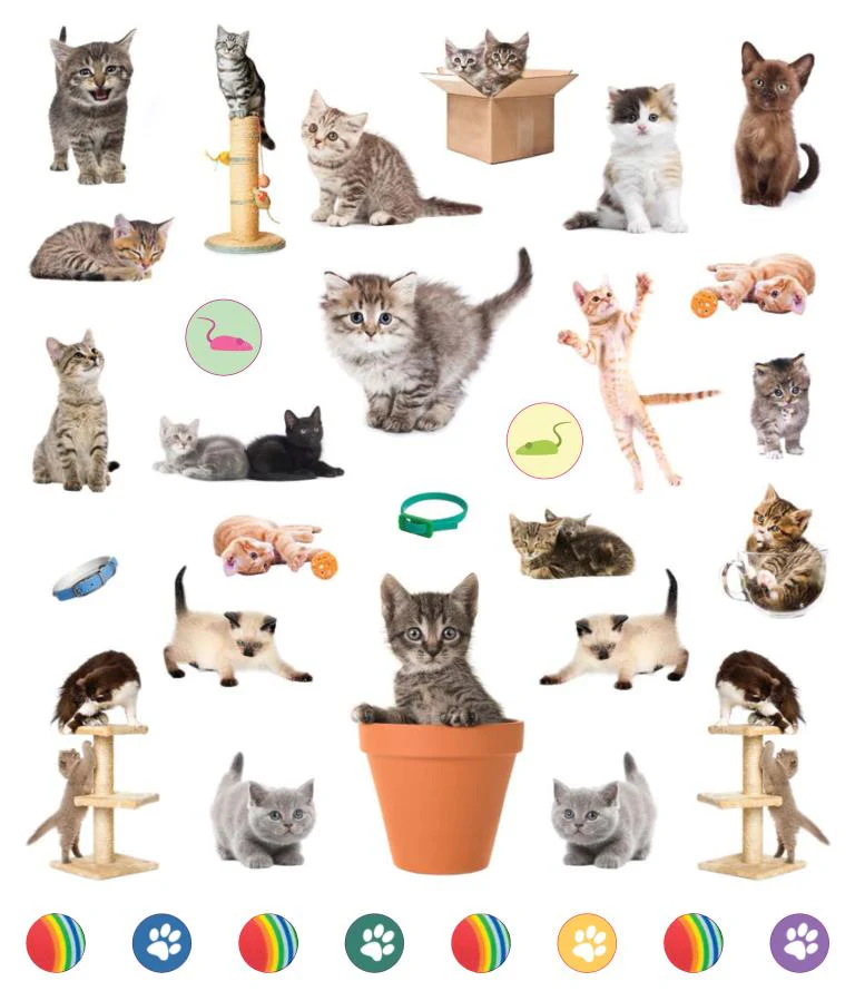 EyeLike Stickers: Kittens - Image 4