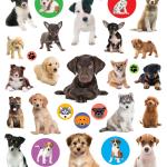 EyeLike Stickers: Puppies - Image 2