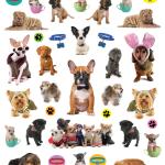 EyeLike Stickers: Puppies - Image 6