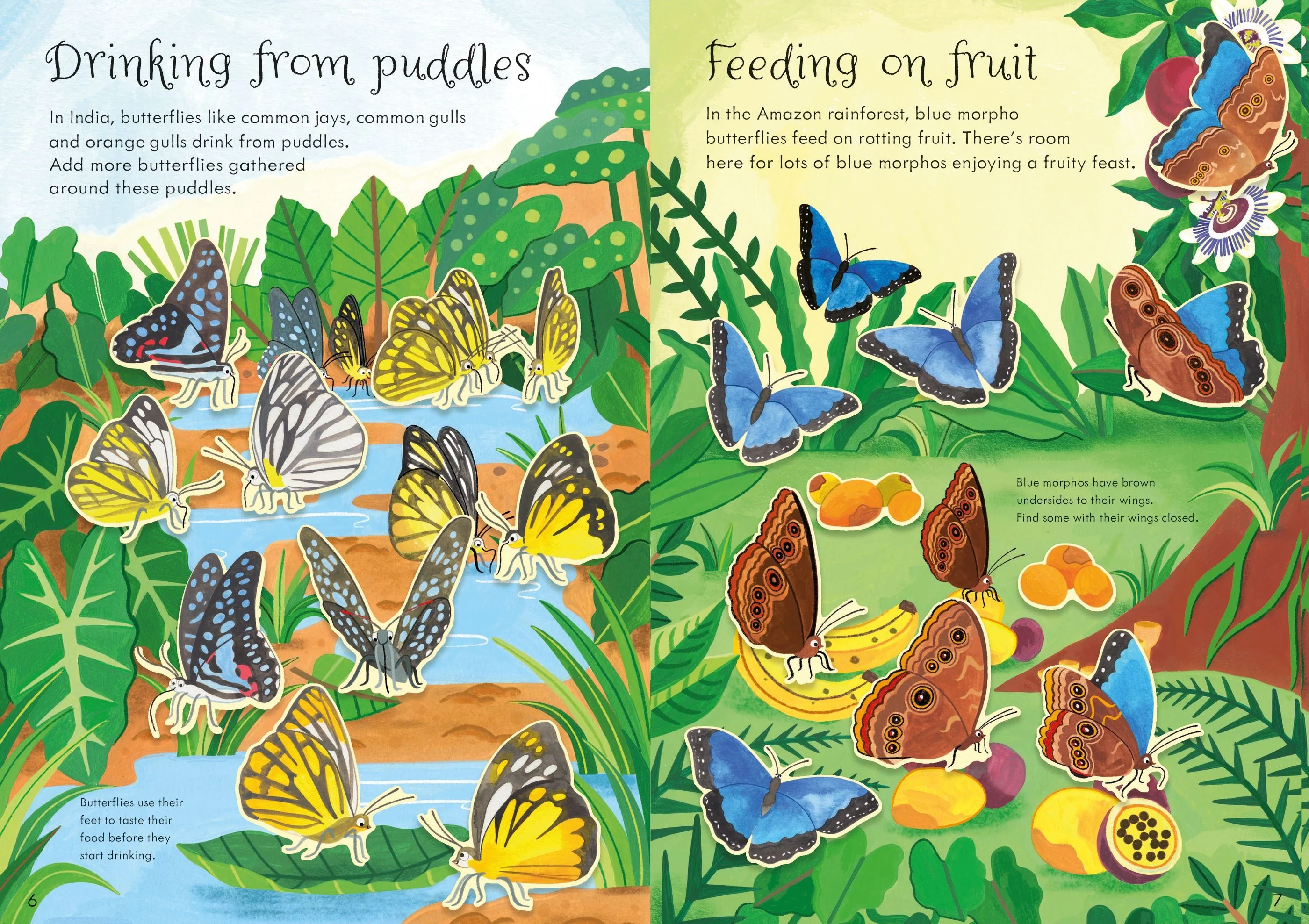 First Sticker Book - Butterflies - Image 3