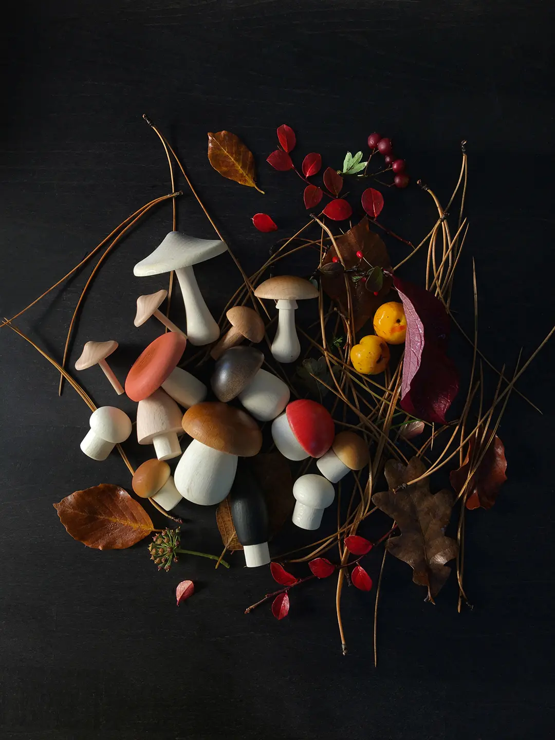 Forest Mushrooms in a Box by Moon Picnic - Image 4