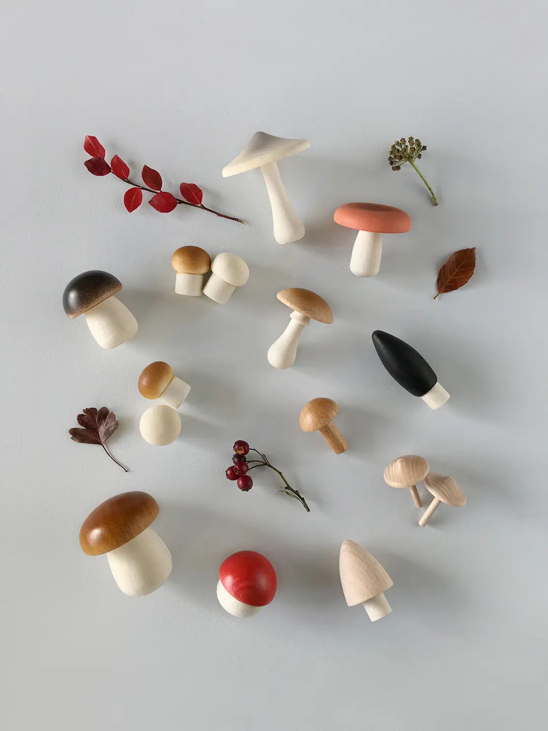 Forest Mushrooms in a Box by Moon Picnic - Image 6