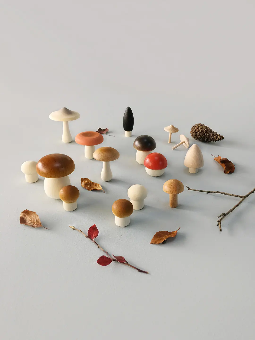 Forest Mushrooms in a Box by Moon Picnic - Image 7