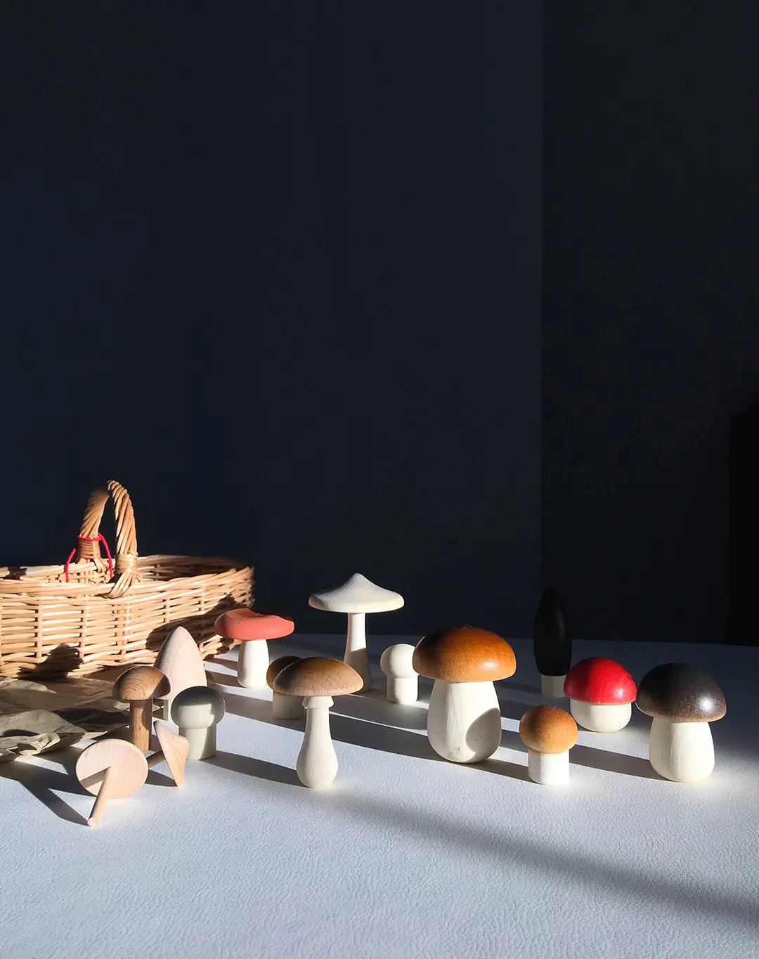 Forest Mushrooms in a Box by Moon Picnic - Image 8