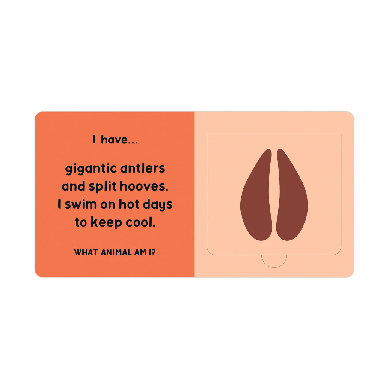 Forest Tracks: What Animal Am I? Lift-the-Flap Board Book - Image 2