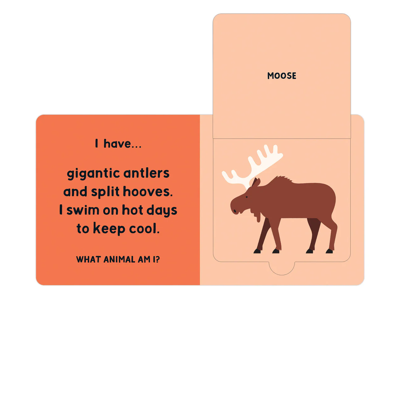 Forest Tracks: What Animal Am I? Lift-the-Flap Board Book - Image 3