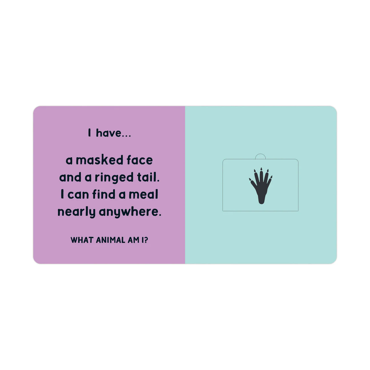Forest Tracks: What Animal Am I? Lift-the-Flap Board Book - Image 4