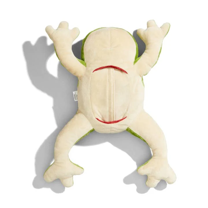 Froggie Dissection Toy by KiwiCo - Image 3