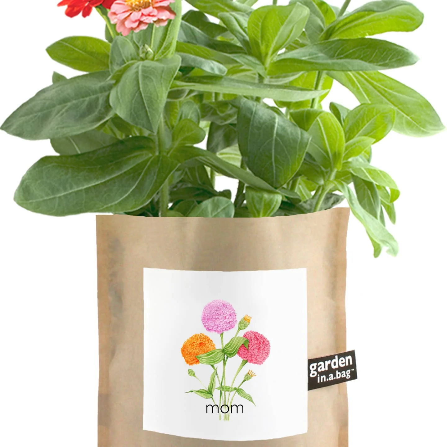 Garden in a Bag - Mom by Potting Shed Creations - Image 3