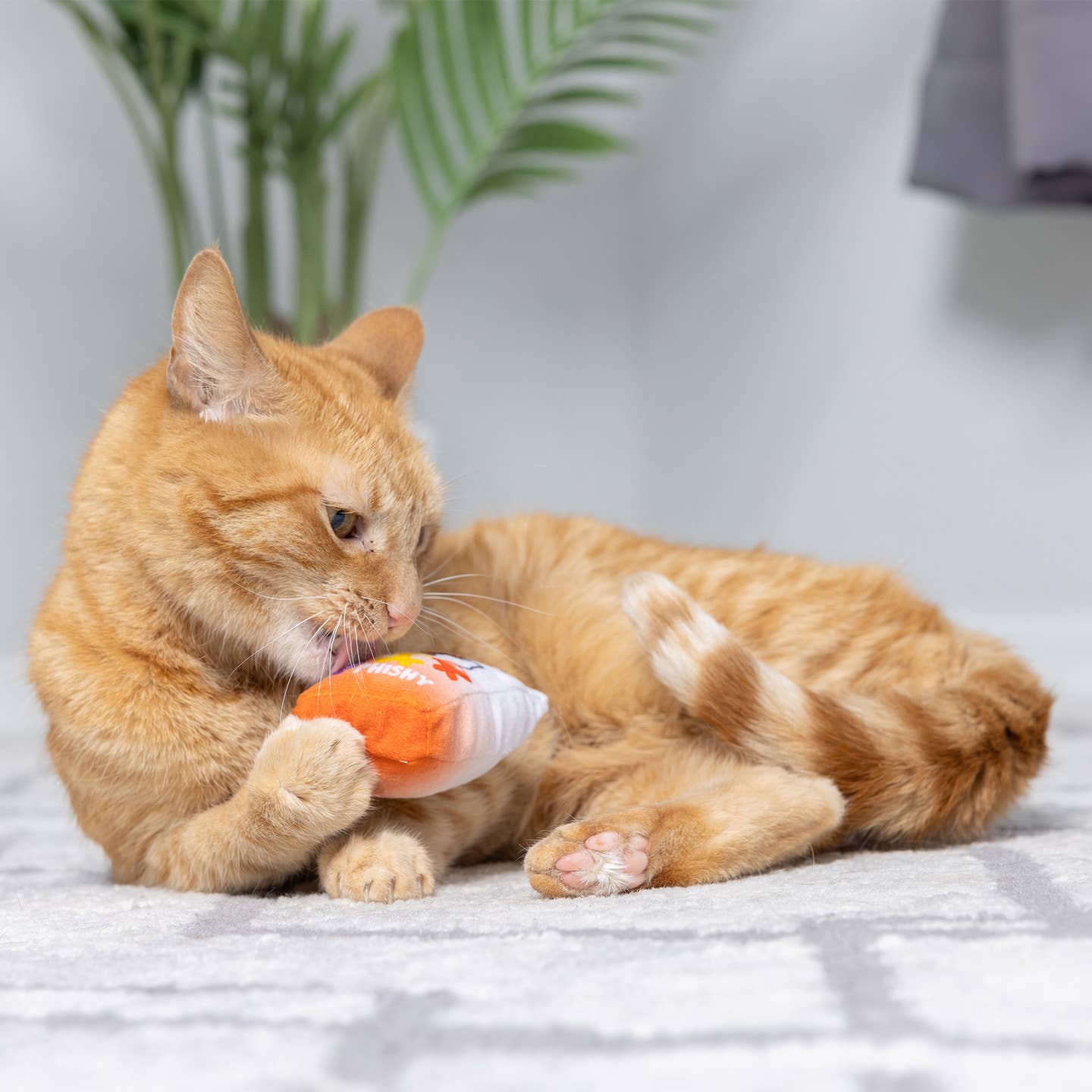 Go Fish Phishy Cat Toy by Huxley & Kent - Image 5