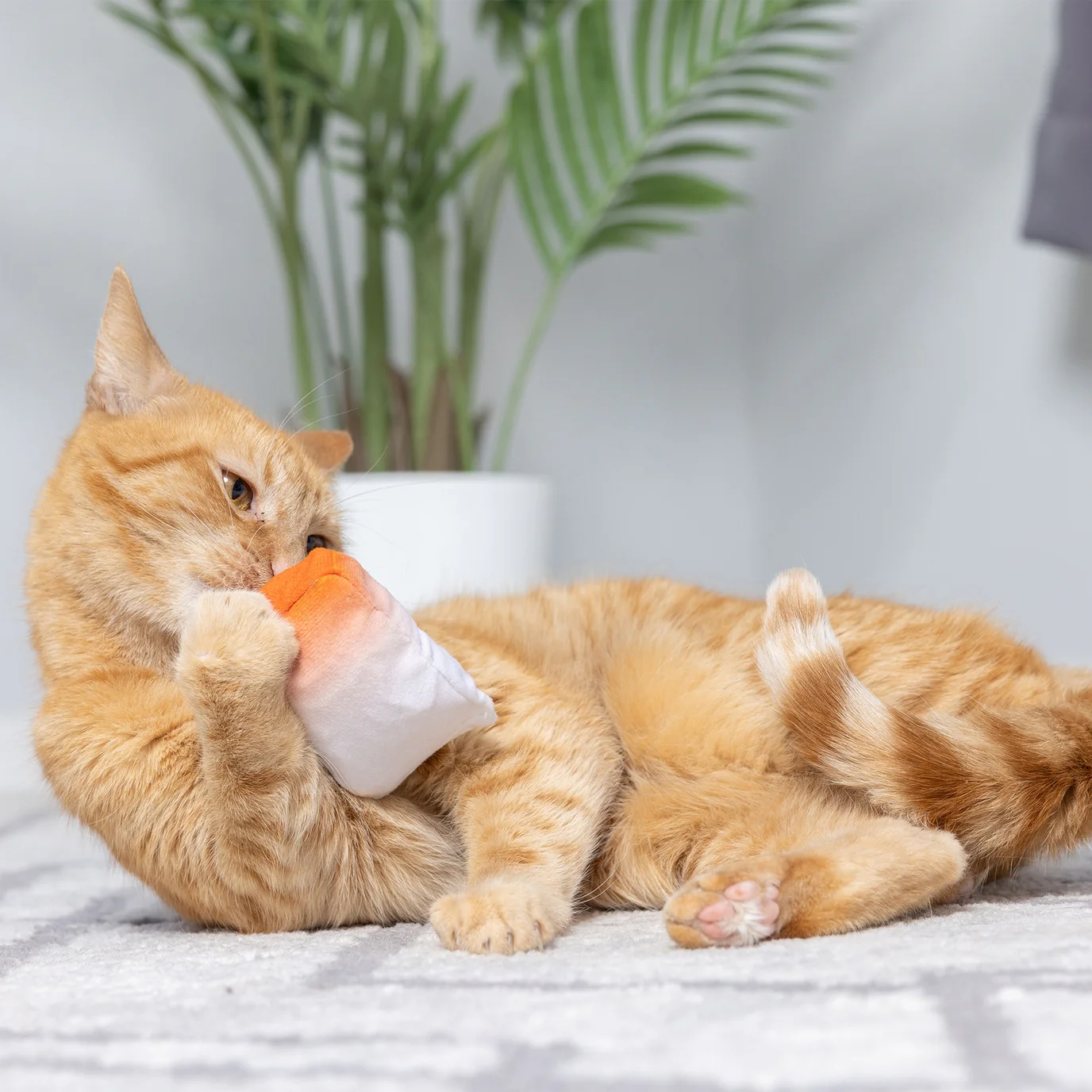 Go Fish Phishy Cat Toy by Huxley & Kent - Image 6
