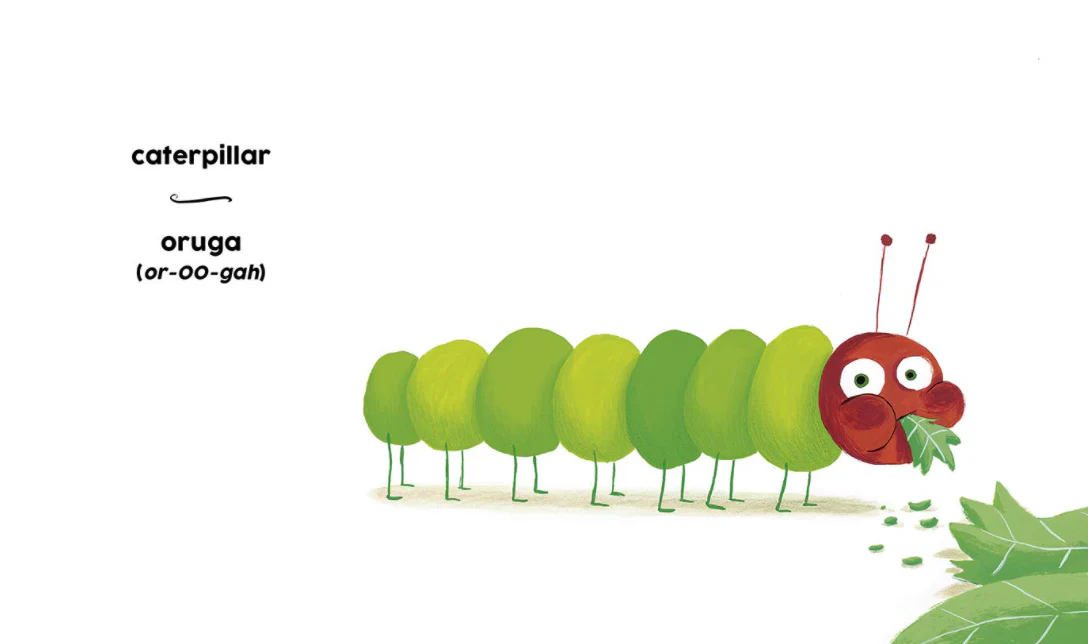Green Verde - Board Book - Image 2