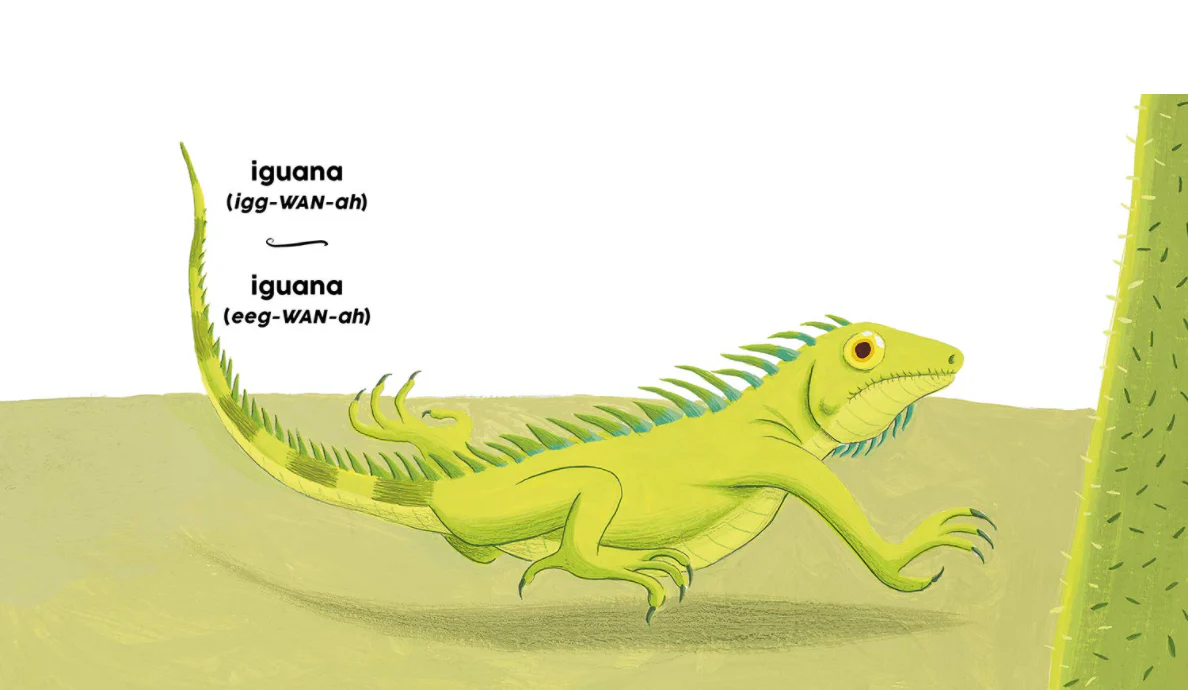 Green Verde - Board Book - Image 4