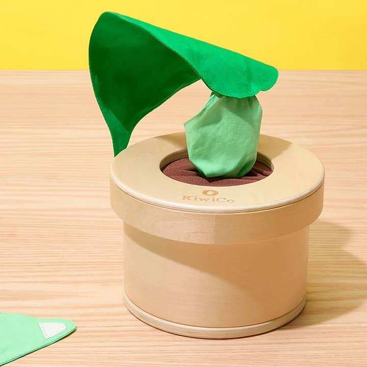 Growing Seeds Tissue Box Toy by KiwiCo - Image 5