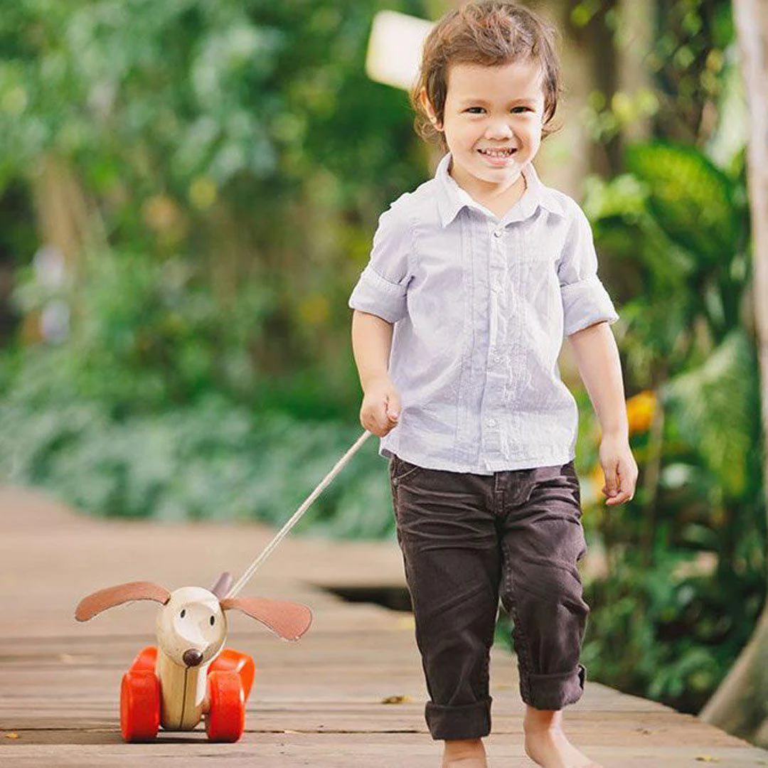 Happy Puppy Pull Toy by Plan Toys - Image 3