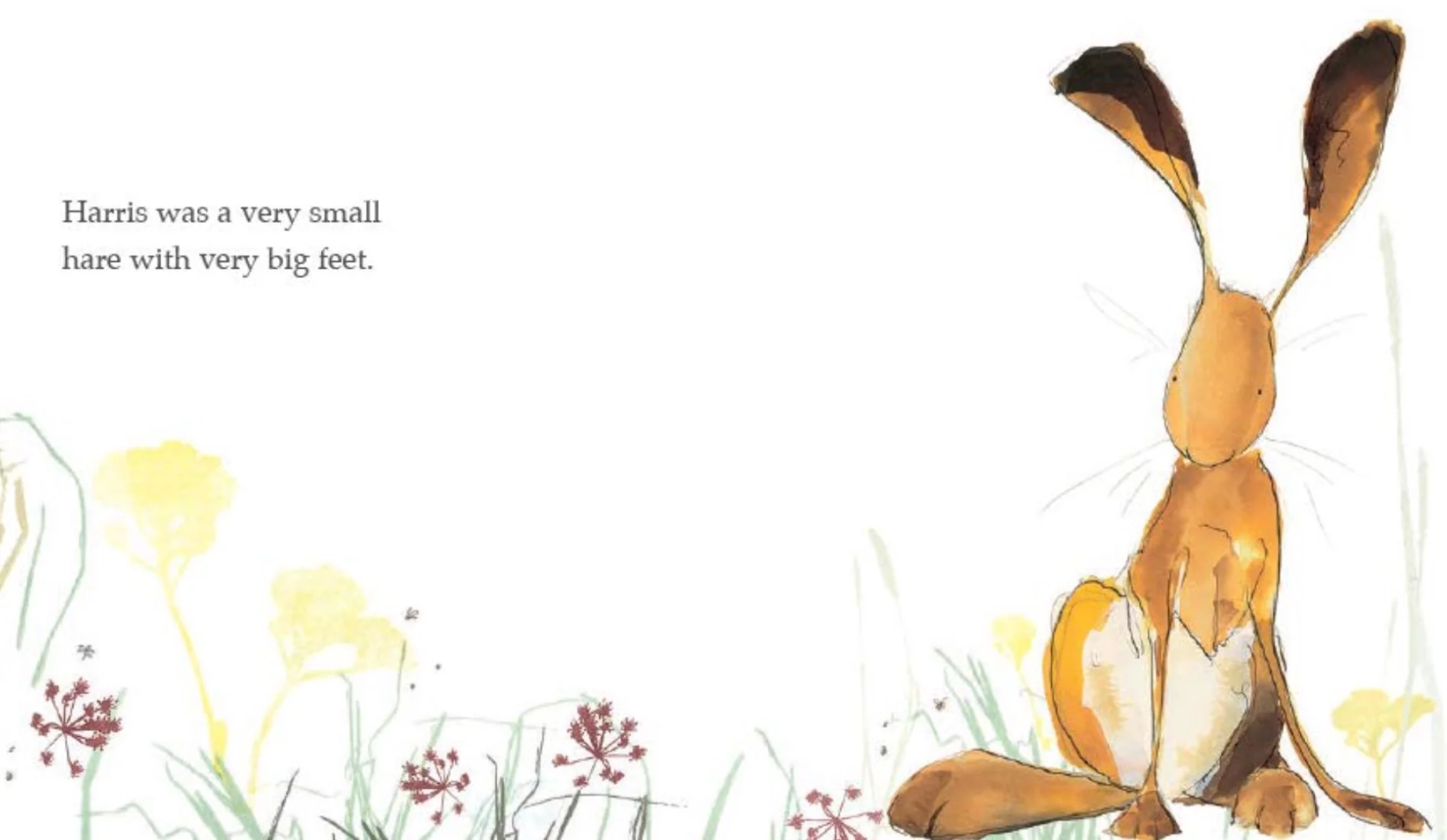 Harris Finds His Feet - Board Book - Image 2