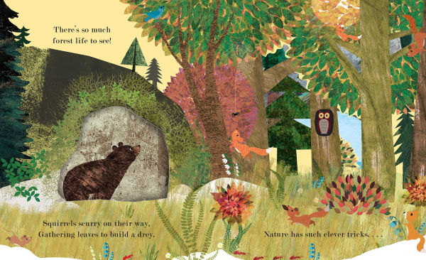 Home:  A Peek-Through - Board Book - Image 2