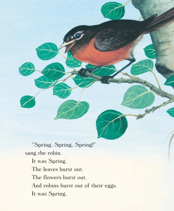 Home For A  Bunny - Board Book - Image 2