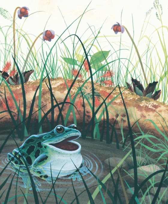 Home For A  Bunny - Board Book - Image 3