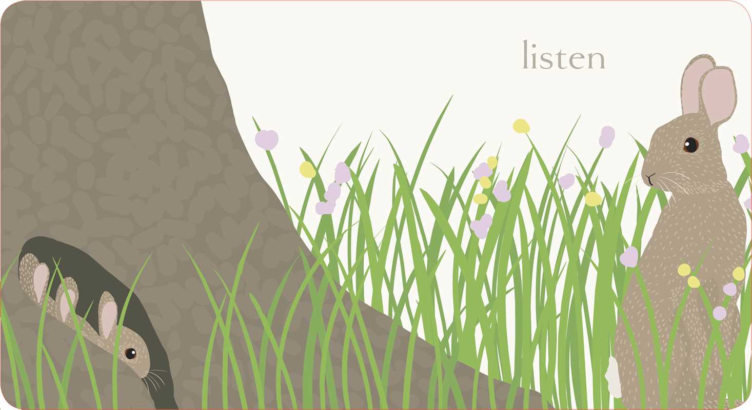 Hop - Board Book - Image 2
