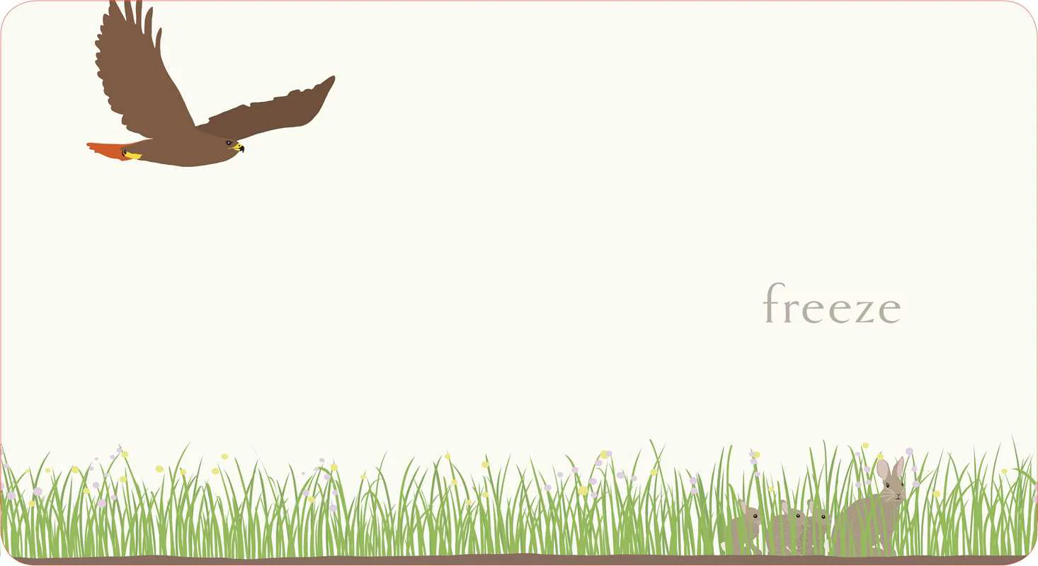 Hop - Board Book - Image 4