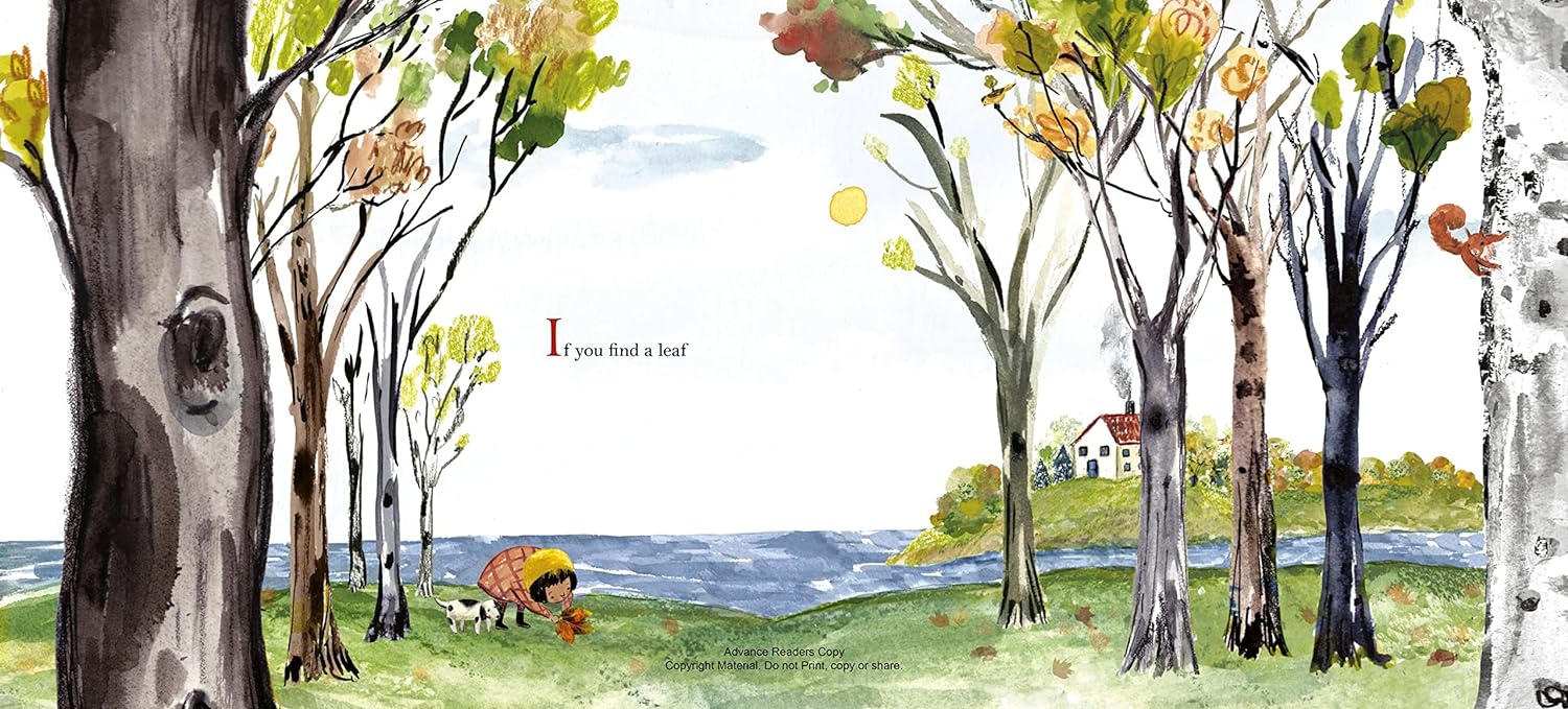 If You Find a Leaf - Hardcover - Image 2