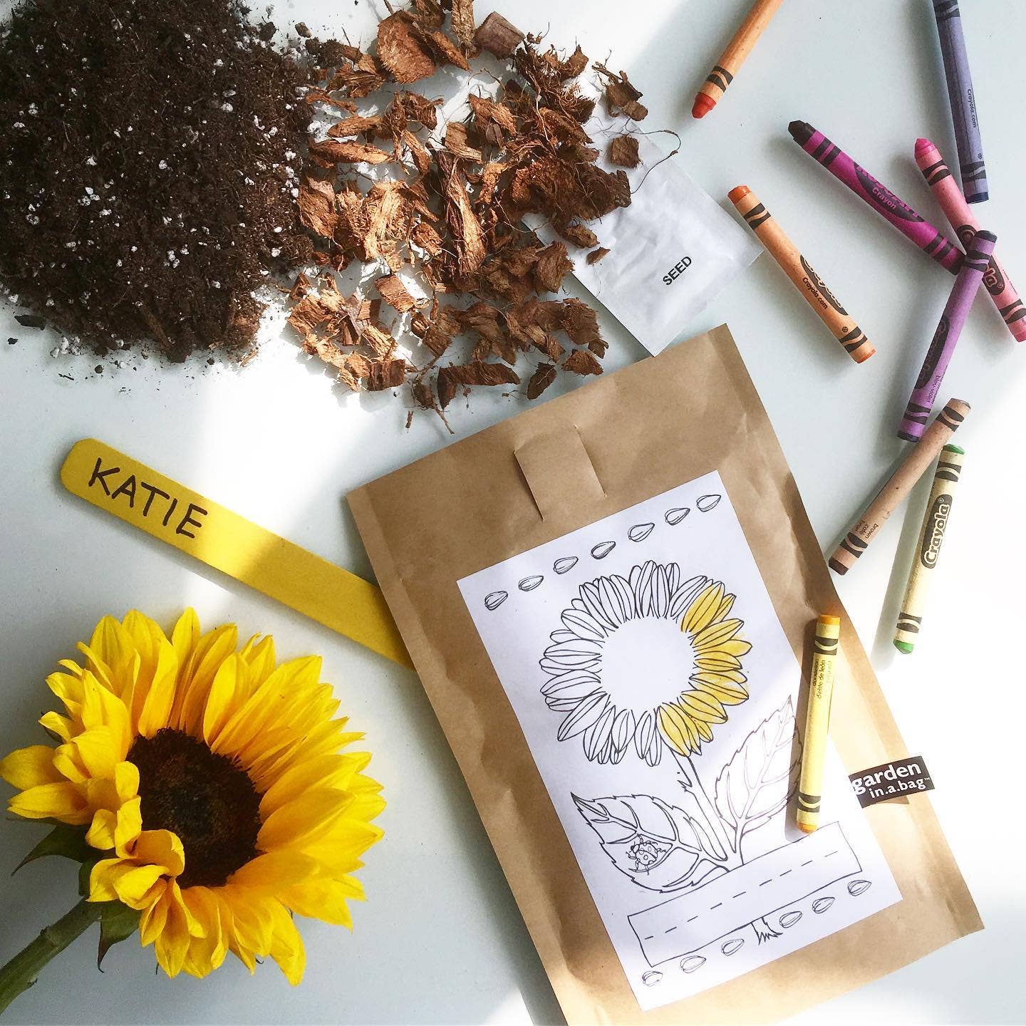Kids' Garden in a Bag - Sunflower by Potting Shed Creations - Image 4