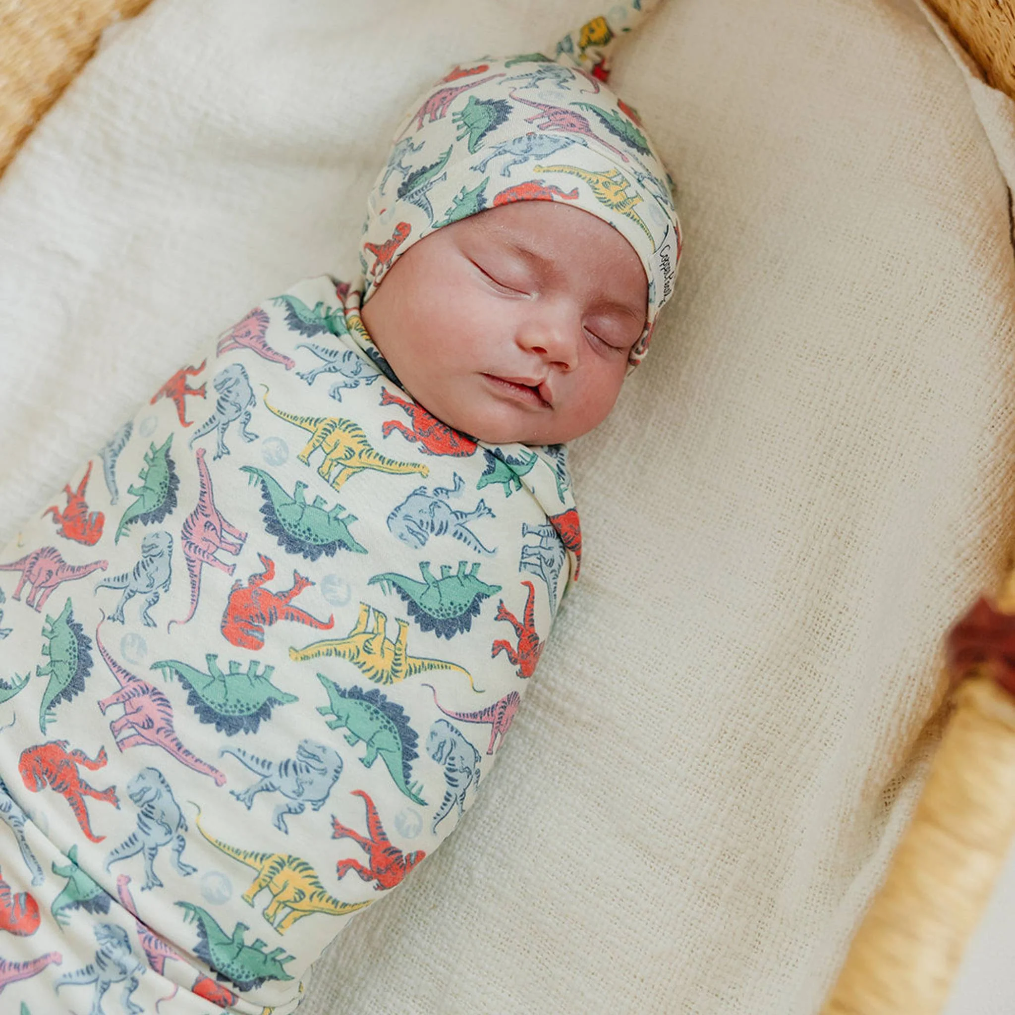 Knit Swaddle Blanket - Dinosaurs of Jurassic Park by Copper Pearl - Image 2