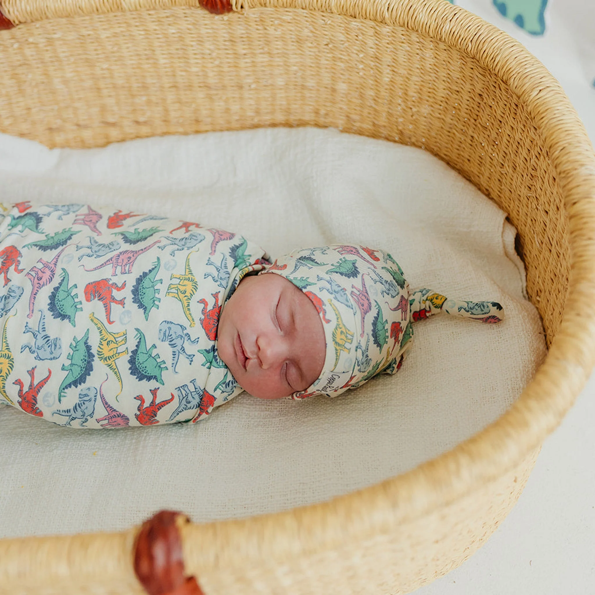 Knit Swaddle Blanket - Dinosaurs of Jurassic Park by Copper Pearl - Image 6