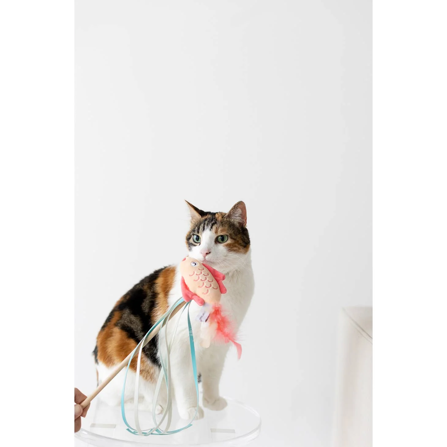 Koi Cat Teaser Wand by Pearhead - Image 2