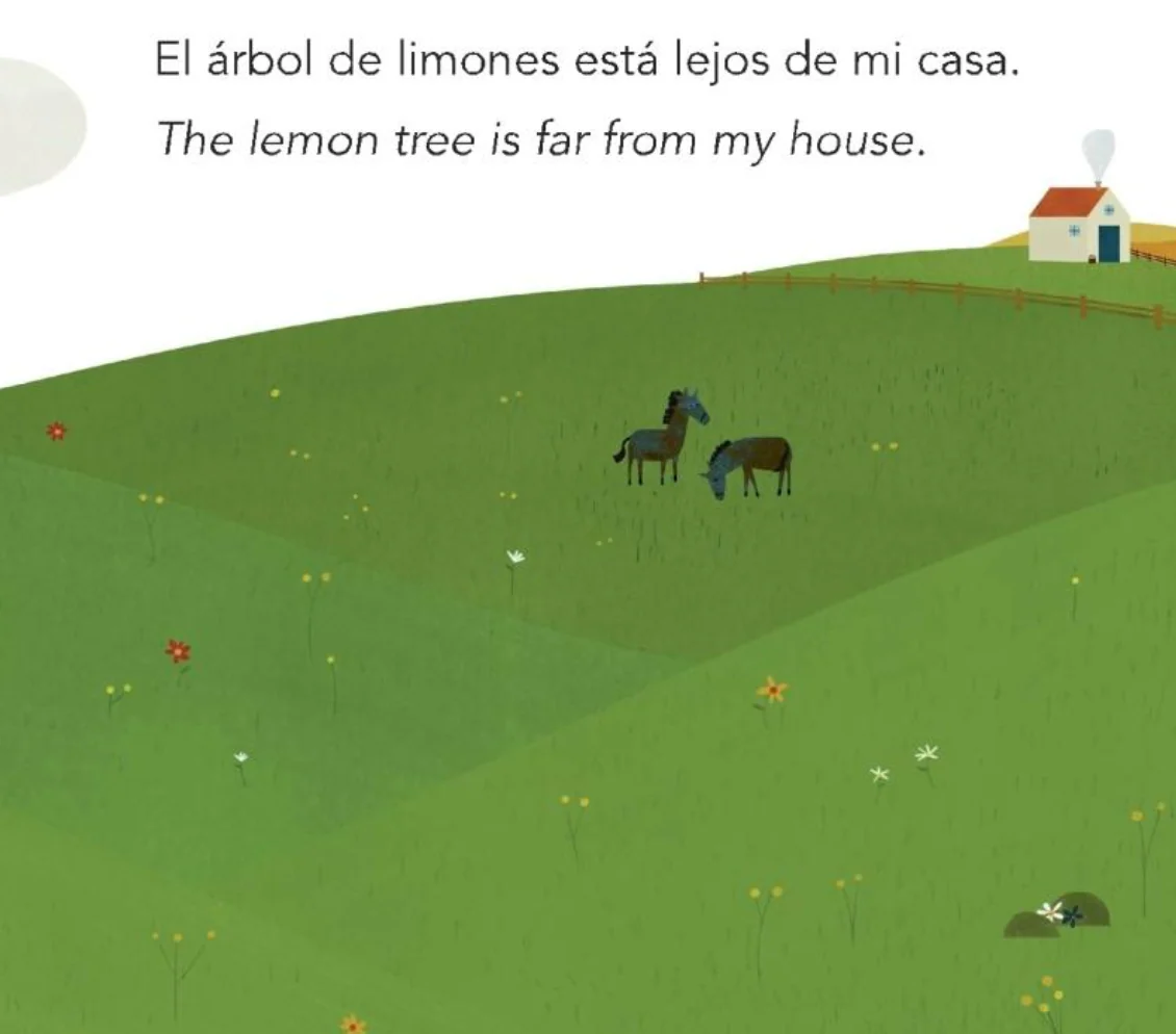 Lejos / Far - Board Book - Image 2