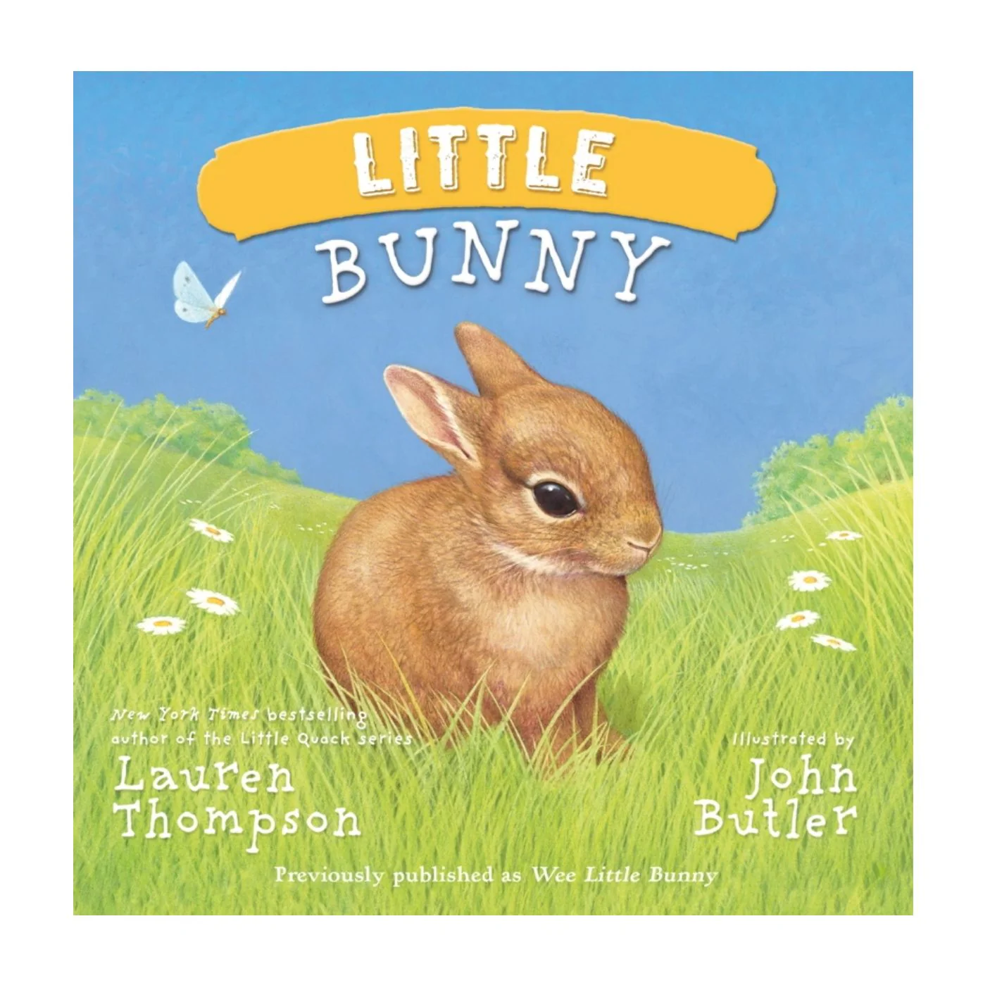 Little Bunny - Board Book