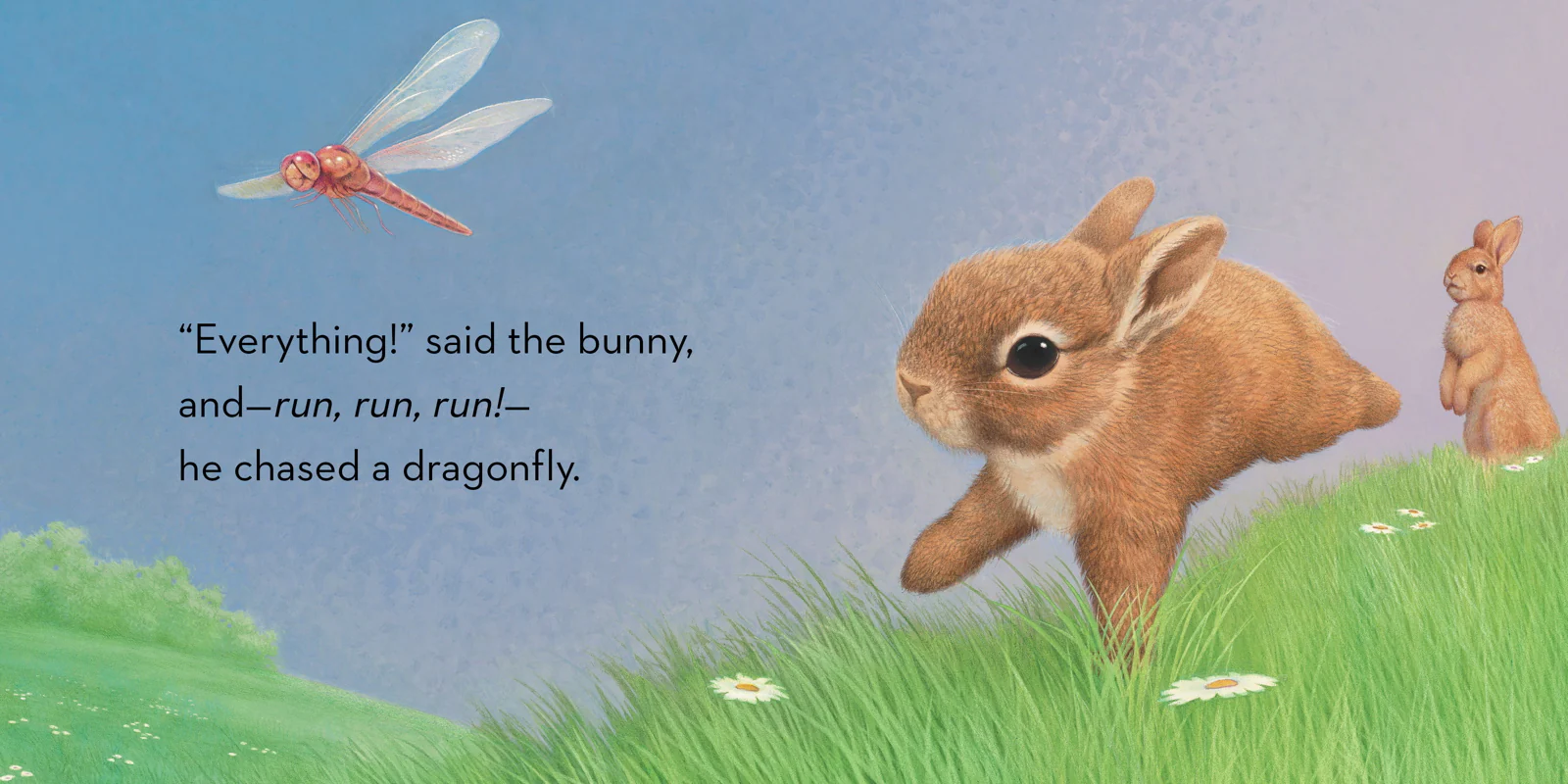 Little Bunny - Board Book - Image 2