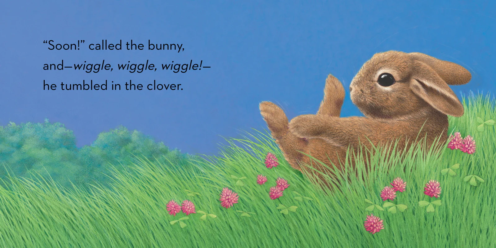 Little Bunny - Board Book - Image 3