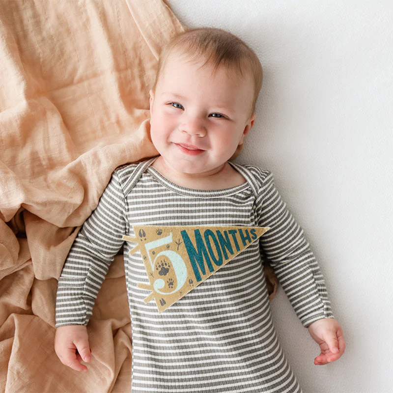 Little Camper Petit Milestone Pennant by Lucy Darling - Image 4