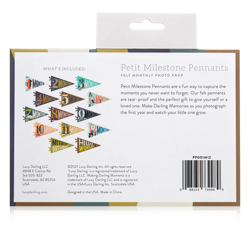 Little Camper Petit Milestone Pennant by Lucy Darling - Image 6