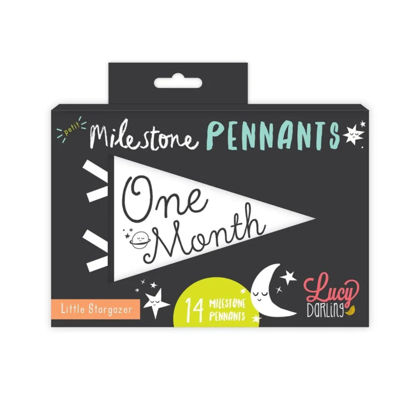 Little Stargazer Petit Milestone Pennant by Lucy Darling