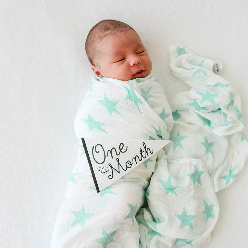 Little Stargazer Petit Milestone Pennant by Lucy Darling - Image 2