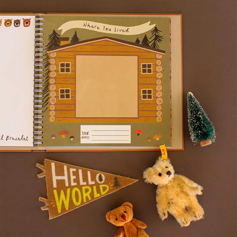 Little Camper Memory Baby Book by Lucy Darling - Image 5