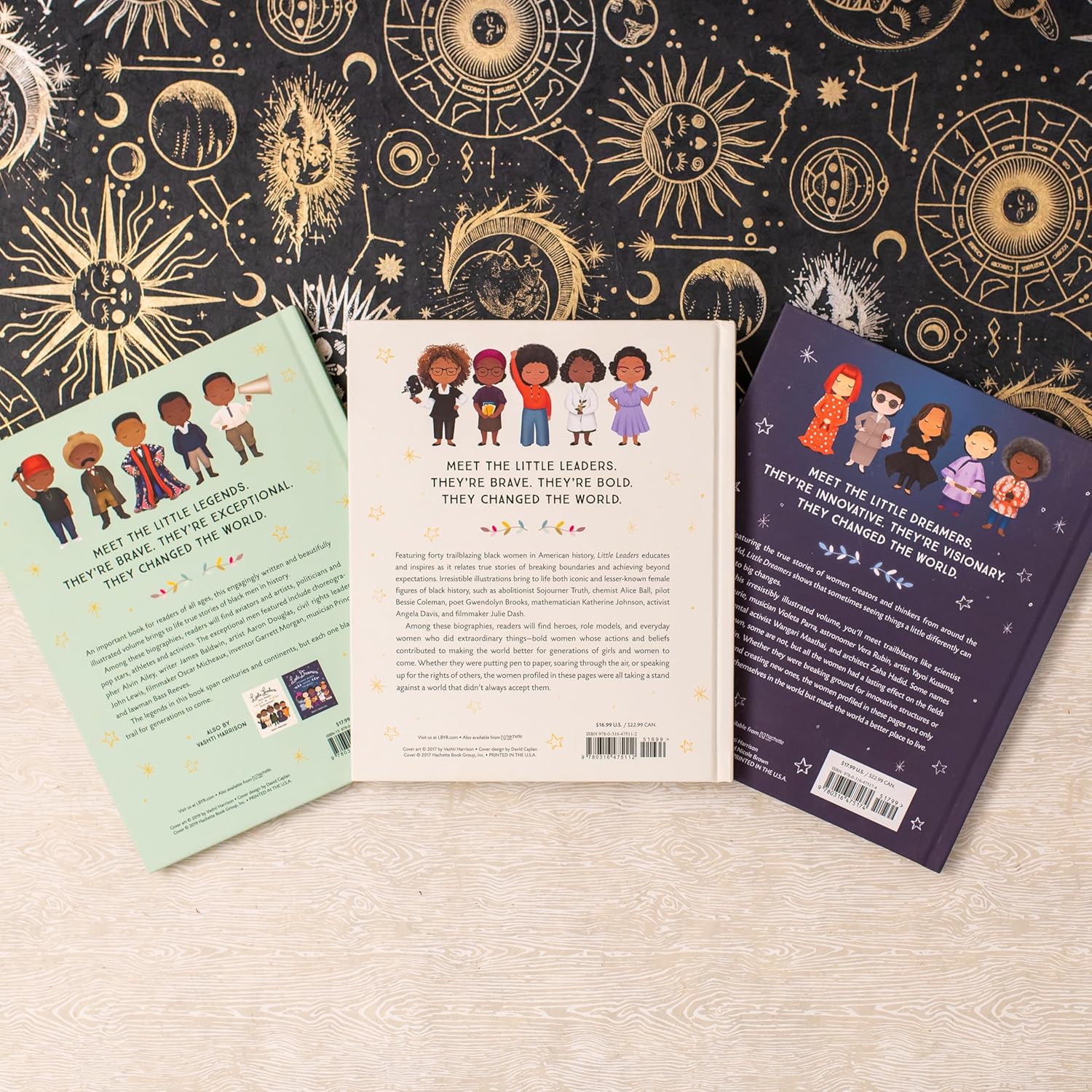 Little Leaders: Bold Women in Black History - Hardcover - Image 9