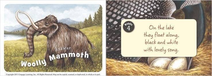 Little Minnesota - Board Book - Image 2