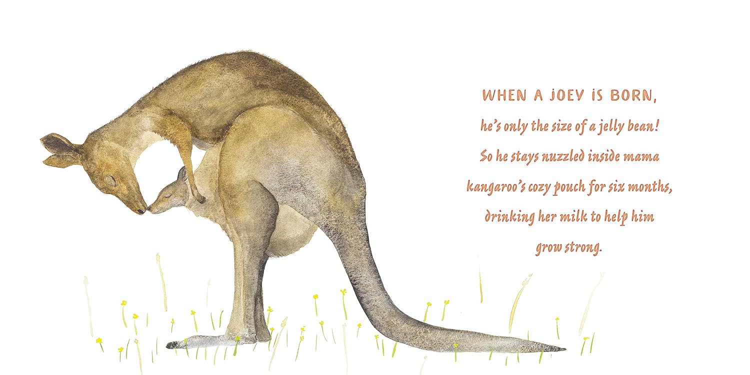 Mamas and Babies - Hardcover - Image 3