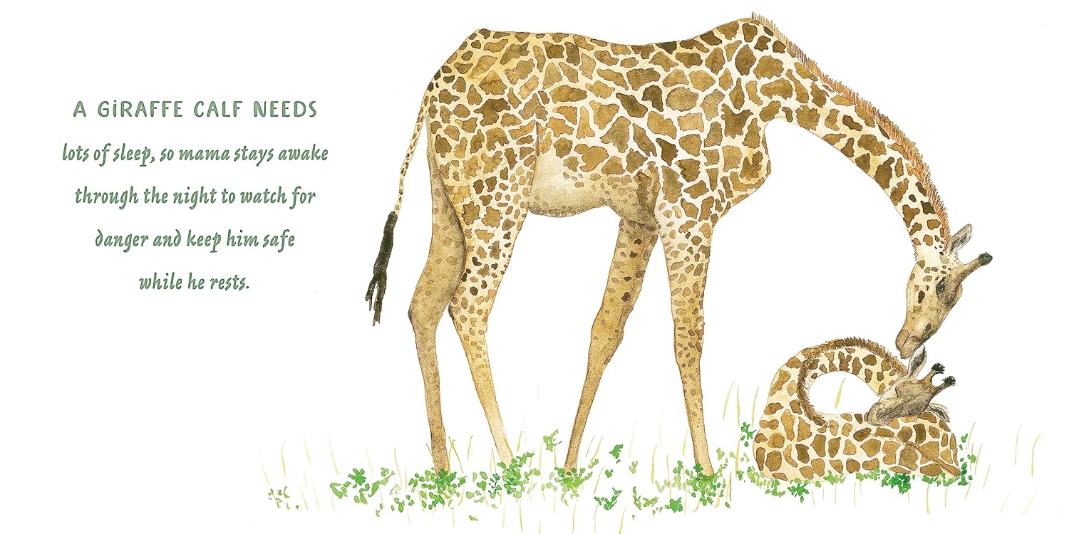 Mamas and Babies - Hardcover - Image 6