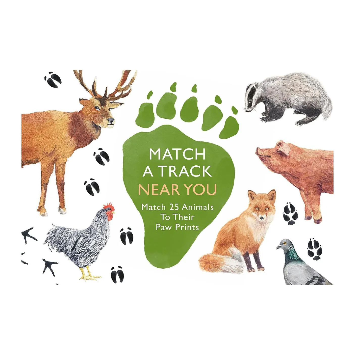 Match a Track Near You Game by Chronicle Books