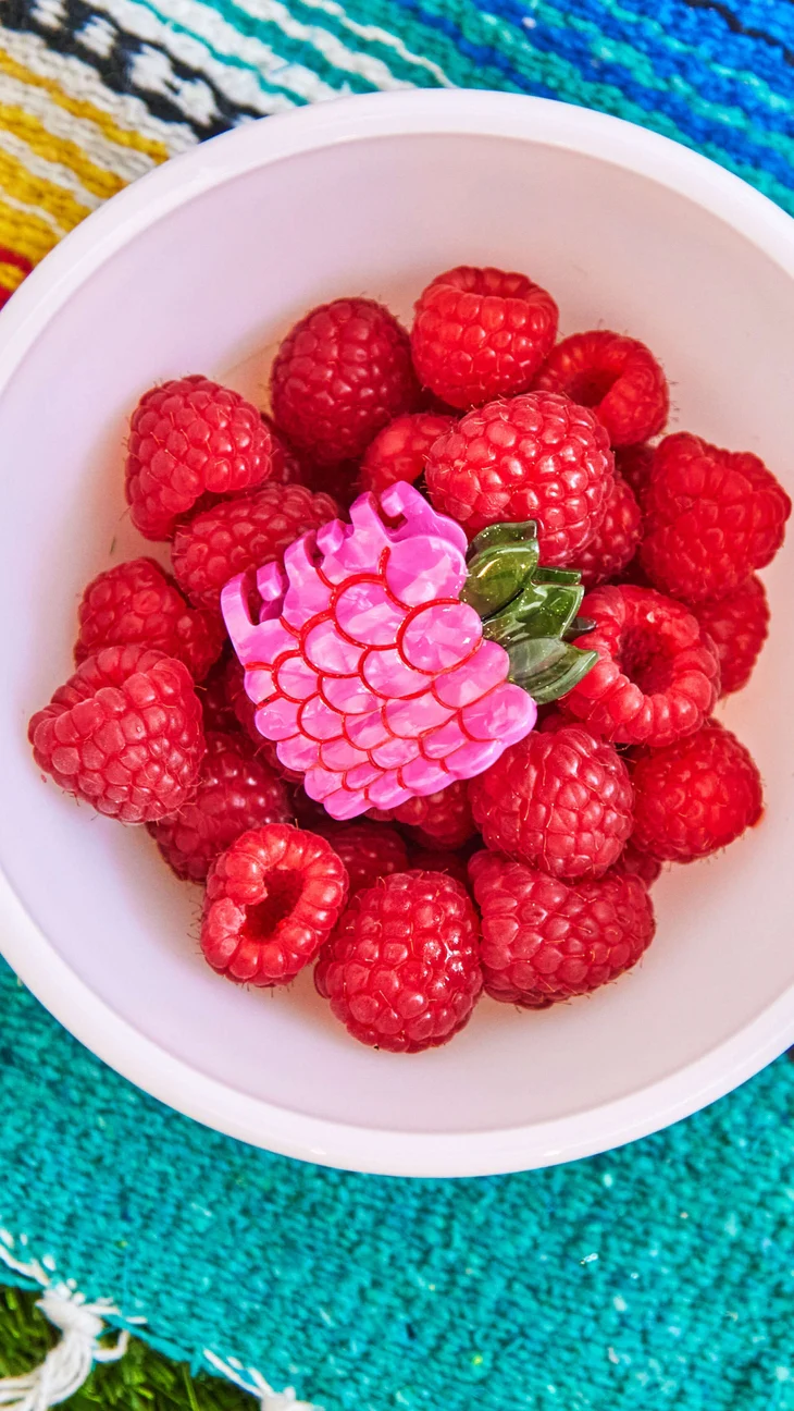 Mini Raspberry Hair Claw Clip by Jenny Lemons - Image 5