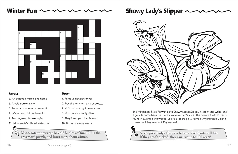 Minnesota Activity Book by AdventureKEEN - Image 3
